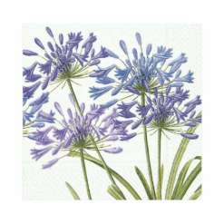 Serviette "Agapanthus"