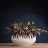 Vase RHIZOM 11 aus Porzellan