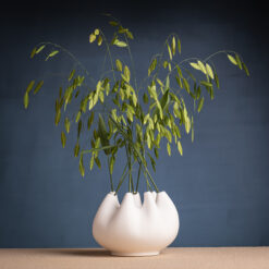 Vase RHIZOM 7 aus Porzellan