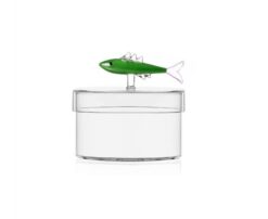 Box mit Sardine aus Borosilikatglas