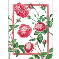 Cecile - Geschirrtuch 02, Premium Linen