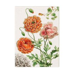 Edward - Geschirrtuch 01