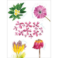 Flora Rosa - Geschirrtuch 01, Premium Linen