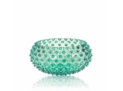 Große Warzenschale beryll